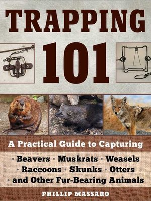 cover image of Trapping 101